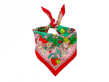 Load image into Gallery viewer, Strawberry Froggy ✿ Bandana
